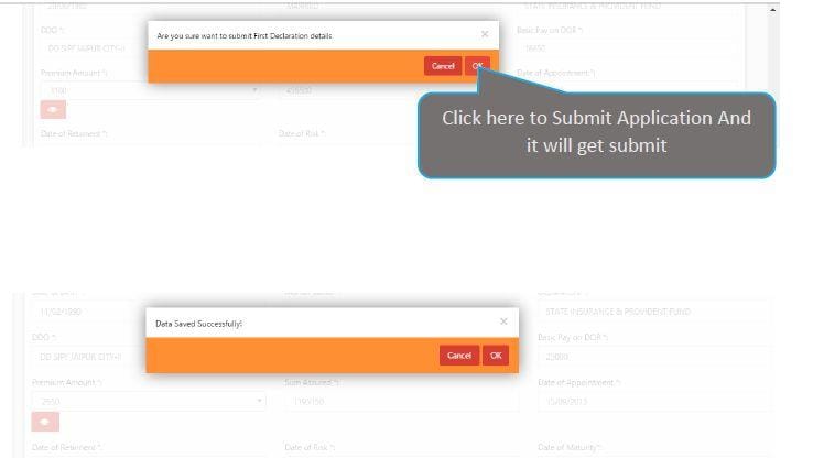 Rajasthan Teachers Web Portal FIRST DECLARATION SUBMIT PROCESS